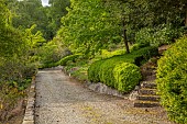 WOOTTON HALL, DERBYSHIRE: SPRING, MAY, PATH, STEPS, GREEN, FOLIAGE, TREES