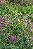 THE OLD RECTORY WRESTLINGWORTH, BEDFORDSHIRE: SPRING, MAY, RED CAMPION