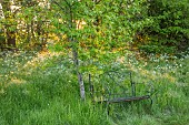 THE OLD RECTORY WRESTLINGWORTH, BEDFORDSHIRE: SPRING, MAY, COW PARSLEY, MEADOW, METAL SEAT, BENCH