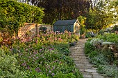 THE OLD RECTORY WRESTLINGWORTH, BEDFORDSHIRE: SPRING, MAY, PATH TO SHED, OUTBUILDING, BORDER WITH ALLIUM PURPLE SENSATION