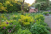 THE OLD RECTORY WRESTLINGWORTH, BEDFORDSHIRE: SPRING, MAY, BORDER, ALLIUM PURPLE SENSATION, EUPHORBIA, SMYRMIUM PERFOLIATUM