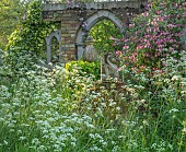 THE OLD RECTORY WRESTLINGWORTH, BEDFORDSHIRE: SPRING, MAY, FOLLY, COW PARSLEY AND HONEYSUCKLE, LONICERA