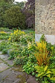 THE OLD RECTORY WRESTLINGWORTH, BEDFORDSHIRE: SPRING, MAY, CORNER OF HOUSE, FERNS, SHADE, SHADY, EUPHORBIAS