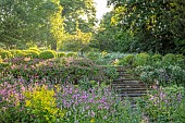 THE OLD RECTORY WRESTLINGWORTH, BEDFORDSHIRE: SPRING, MAY, STEPS, CLIPPED BOX BALLS, SMYRNIUM, RED CAMPION, PERSICARIA BISTORTA SUPERBA