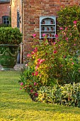 THE OLD VICARAGE, WORMLEIGHTON, WARWICKSHIRE: DESIGNER ANGEL COLLINS - BORDER, PINK, RED FLOWERS OF ROSE, ROSA CHINENSIS MUTABILIS, LAWNT