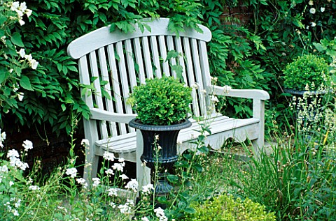 BEAUTIFUL_BENCH_IN_WHITE_GARDEN_SURROUNDED_BY_DARK_URN_AND_HESPERIS_ALBA_WOLLERTON_OLD_HALL_SHROPSHI