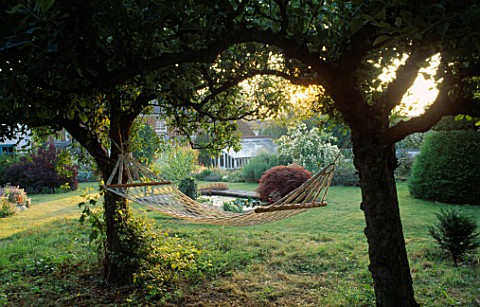 HAMMOCK_IN_SHADY_SPOT_BETWEEN_TWO_CRAB_APPLE_TREES_LITTLE_COURT__HANTS_THIS_IS_A_CHALKYALKALINE_GARD