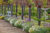 ASHBY MANOR HOUSE, NORTHAMPTONSHIRE: MAY, PATH LINED WITH CHIVES, ALLIUM SCHOENOPRASUM, DIANTHUS MRS SINKINS, OREGANUM AUREUM, ESPALIERED APPLES