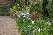 ASHBY MANOR HOUSE, NORTHAMPTONSHIRE: MAY, THE WALLED GARDEN, BORDER, IRIS JANE PHILLIPS, PEONIES, EUPHORBIA CHARACIAS WULFENII