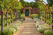 ASHBY MANOR HOUSE, NORTHAMPTONSHIRE: MAY, PATH LINED WITH CHIVES, ALLIUM SCHOENOPRASUM, DIANTHUS MRS SINKINS, OREGANUM AUREUM, ESPALIERED APPLES