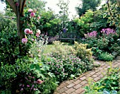 SECLUDED SEAT AND BRICK PATHWAY BESIDE PERGOLA WITH ROSE CONSTANCE SPRYIN PINK BORDER. DESIGNER: ROGER PLATTS