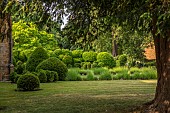 PETRA HOYER MILLAR GARDEN, OXFORDSHIRE: CASTLE END HOUSE, FRONT GARDEN, YEW HEDGES, HEDGING, CLOUD PRUNED