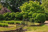 PETRA HOYER MILLAR GARDEN, OXFORDSHIRE: CASTLE END HOUSE, FRONT GARDEN, YEW HEDGES, HEDGING, CLOUD PRUNED, GATE