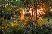 THE OLD VICARAGE, WORMLEIGHTON, WARWICKSHIRE: DESIGNER ANGEL COLLINS, OBELISK, BORDER, IRIS SABLE, IRIS ACTION FRONT, PAPAVER BEAUTY OF LIVERMERE