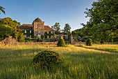 HODGES BARN, GLOUCESTERSHIRE: JUNE: CLIPPED BEECH, WILDFLOWERS, HOUSE, EARLY MORNING LIGHT