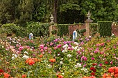 HIGHNAM COURT, GLOUCESTERSHIRE: JUNE, ROSES AND GLASS OBELISKS BY ROBERT BRYANT IN THE WINTER GARDEN TERRACE, WALL