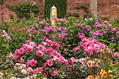 HIGHNAM COURT, GLOUCESTERSHIRE: JUNE, ROSES AND GLASS OBELISKS BY ROBERT BRYANT IN THE WINTER GARDEN TERRACE, WALL