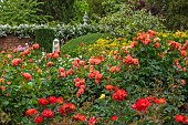 HIGHNAM COURT, GLOUCESTERSHIRE: JUNE, ROSES AND GLASS OBELISKS BY ROBERT BRYANT IN THE WINTER GARDEN TERRACE, WALL