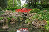 HIGHNAM COURT, GLOUCESTERSHIRE: JUNE, THE WATER GARDEN, ROCKERY, POOL, WATER, POND, RED WOODEN BRIDGE