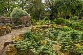 HIGHNAM COURT, GLOUCESTERSHIRE: JUNE, THE FERNERY AND WATER GARDEN, ROCKERY, PULHAMITE ROCKS, FERNS, CROCODILE SCULPTURE ON ROCKS