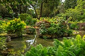 HIGHNAM COURT, GLOUCESTERSHIRE: JUNE, THE FERNERY AND WATER GARDEN, ROCKERY, PULHAMITE ROCKS, FERNS, POOL, POND, WATER