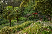 HIGHNAM COURT, GLOUCESTERSHIRE: JUNE, THE FERNERY AND WATER GARDEN, ROCKERY, PULHAMITE ROCKS, FERNS, RED BRIDGE, TRACHYCARPUS FORTUNEI