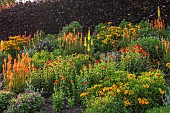 ASTON POTTERY, OXFORDSHIRE: JUNE, BORDER, ALSTROEMERIA INCA GOLD, KNIPHOFIA FIERY RED, EREMURUS STENOPHYLLUS, LYCHNIS CORONARIA, LYCHNIS CHALCEDONICA