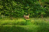 PIE CORNER, HERTFORDSHIRE: WOODEN GATE INTO OX EYE MEADOW, JUNE