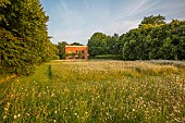PIE CORNER, HERTFORDSHIRE: JUNE, MEADOW OF OX EYE DAISIES IN FRONT OF HOUSE. WILDFLOWERS