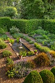 PIE CORNER, HERTFORDSHIRE: FORMAL RILL GARDEN, CANAL, WATER, GRAVEL, CLIPPED TOPIARY, LAVENDER HIDCOTE, POND, POOL, FOUNTAIN
