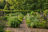 PIE CORNER, HERTFORDSHIRE: JUNE, THE POTAGER, VEGETABLE GARDEN, PATH