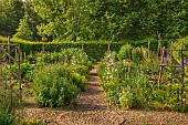 PIE CORNER, HERTFORDSHIRE: JUNE, THE POTAGER, VEGETABLE GARDEN, PATH