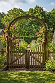 PIE CORNER, HERTFORDSHIRE: JUNE, GATE INTO VEGETABLE GARDEN, POTAGER, PURPLE, PINK FLOWERS, BLOOMS OF ROSES, ROSA SKYLINER, MULTIFLORA RAMBLER ROSE