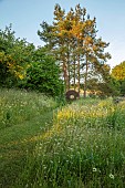 OLD PARK BARN, BUCKINGHAMSHIRE; VISTA ALONG GRASS PATH TO PINUS SYLVESTRIS TREES BEHIND THE TYRING PLATFORM, METAL TABLE SCULPTURE, MEADOWS, WILDFLOWERS