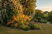 OLD PARK BARN, BUCKINGHAMSHIRE: SUNRISE, STIPA GIGANTEA