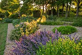 OLD PARK BARN, BUCKINGHAMSHIRE: SUNRISE, GRAVEL GARDEN, HELENIUM MOERHEIM BEAUTY, NEPETA RACEMOSA WALKERS LOW, HAKONACHLOA MACRA