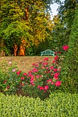 RENISHAW HALL & GARDENS, DERBYSHIRE: BLUE BENCH, SEAT ON THE TOP LAWN SEEN FROMTHE ROSE GARDEN, DAWN, SUNRISE