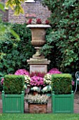 STONE URN WITH POTS OF CHRYSANTHEMUMS. IN FRONT IS CLIPPED BOX & HEATHER. MRS ADAMS LONDON GARDEN/DESIGN ANTHONY NOEL
