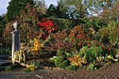 ACERS IN AUTUMNAL SHADES AND  GATE WITH LEAD URNS: ACER AND . LAKEMOUNT  GLANMIRE  EIRE