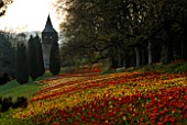 COLOURFUL DRIFTS OF RED & YELLOW TULIPS ALONG THE TULIP WALK  LEADING TO THE SWEDEN TOWER. GARDENS OF MAINAU  LAKE CONSTANCE