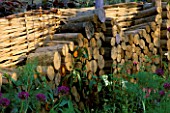LOG PILE AGAINST WATTLE FENCE IN THE AGE CONCERN GARDEN BY CHRISTOPHER PICKARD. CHELSEA 97.