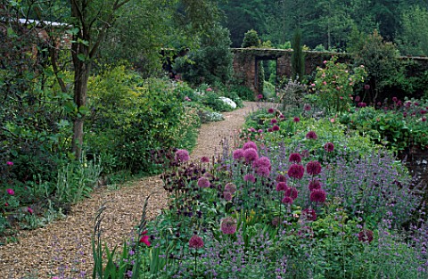 VIEW_BACK_FROM_BLUE_GARDEN_ALONG_GRAVEL_PATH_OF_PEACH_WALK_NEPETA_SIX_HILLS_GIANT__ALLIUMS_AND_AQUIL