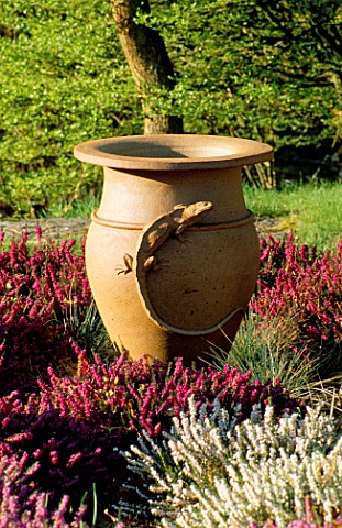 TERRACOTTA_URN_AS_FOCAL_POINT_SURROUNDED_BY_WINTER_FLOWERING_HEATHER___LITTLE_COOPERS__HAMPSHIRE
