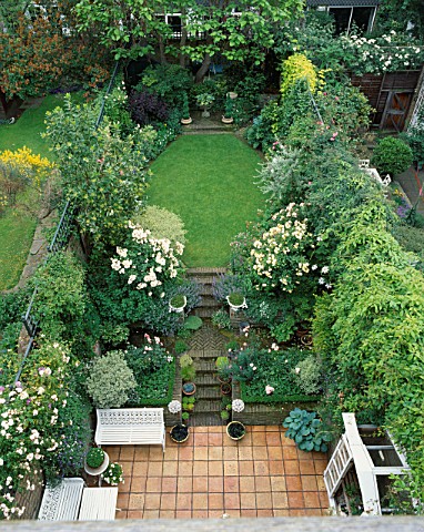 SMALL_TOWN_GARDEN_WITH_PATIO_AND_LAWN_ROSES_HOSTAS_IN_POTS_AND_CATALPA_IN_THE_BACKGROUND