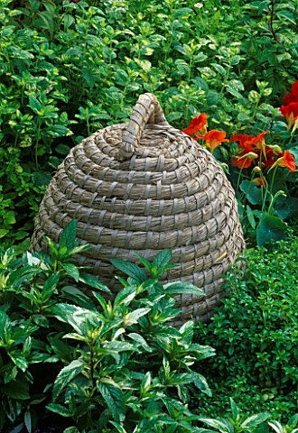 WICKER_BEE_SKEP_SURROUNDED_BY_MINT_AND_NASTURTIUMS_THE_COTTAGE_HERBERY_HAMPTON_COURT_1997