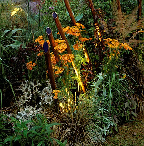 COPPER_TUBES_OF_LIGHT_BY_GARDEN__SECURITY_LIGHTING_EMERGE_BETWEEN_ACHILLEA_AND_ORNAMENTAL_GRASSES_IN
