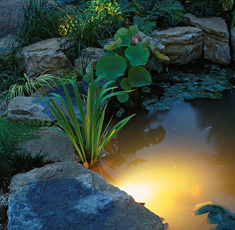 UNDERWATER_LIGHTING_IN_LILY_POOL_BY_GARDEN_AND_SECURITY_LIGHTING_HAMPTON_COURT__97