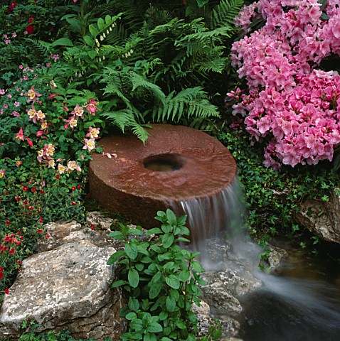 WATER_FEATURE_MILLSTONE_WATERFALL_SURROUNDED_BY_FERNS__RHODODENDRONS_AND_AQUILEGIAS_DAILY_MIRROR_GAR