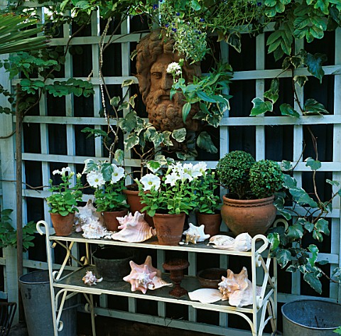 ANTIQUE_TERRACOTTA_MASK_MOUNTED_ON_TRELLIS_OVERLOOKS_METAL_AND_GLASS_ETAGERE_WITH_DISPLAY_OF_SHELLS_