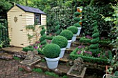 FORMAL ARRANGEMENT OF BOX BALLS IN PAINTED TERRACOTTA POTS ON STEPS FLANKED BY BOX SPIRALS AND STONE LIONS. PAINTED SHED IN B/G. DESIGNER:  JONATHAN BAILLIE.